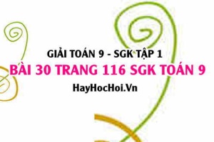 Giải bài 30 trang 116 SGK Toán 9 tập 1